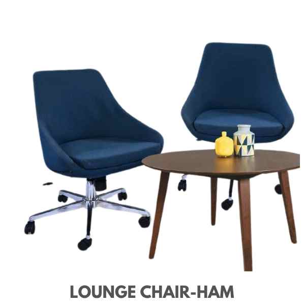 HAM CHAIR